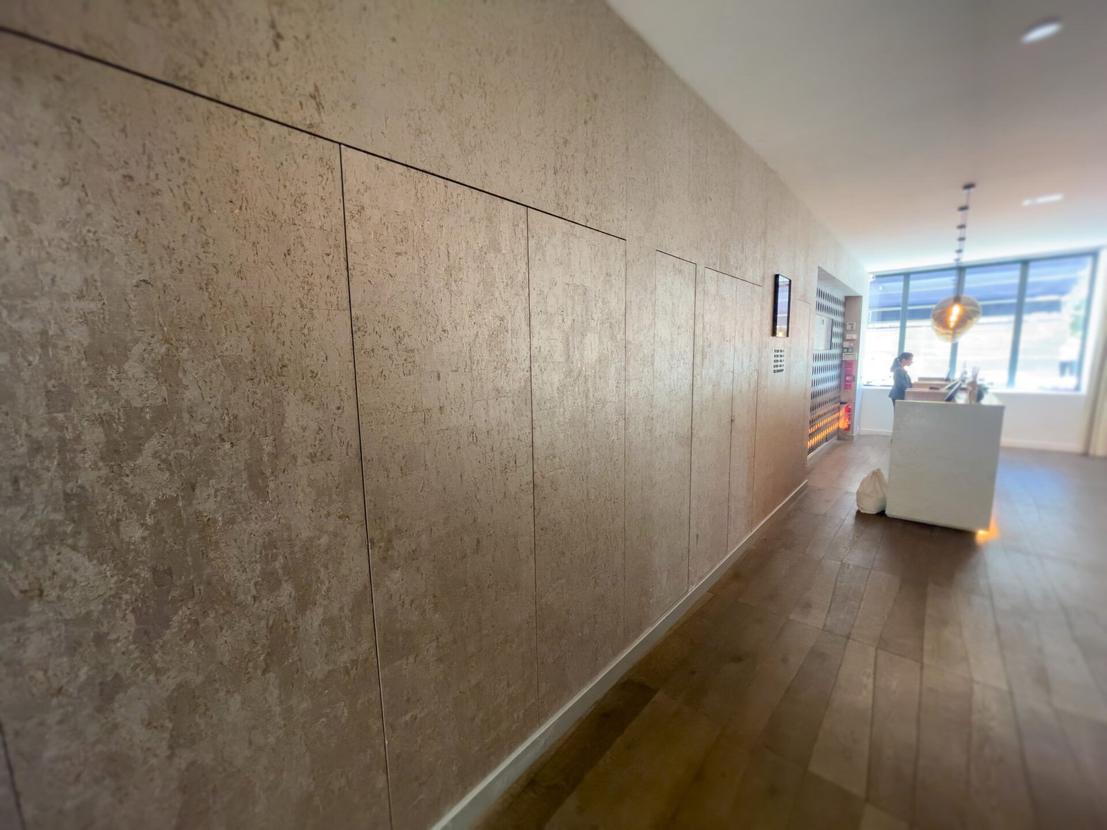 Christo Riser Door - Image 4